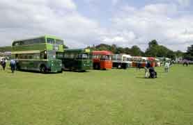 Line of buses