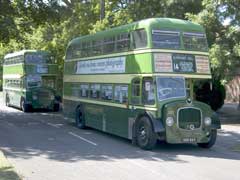 Two buses