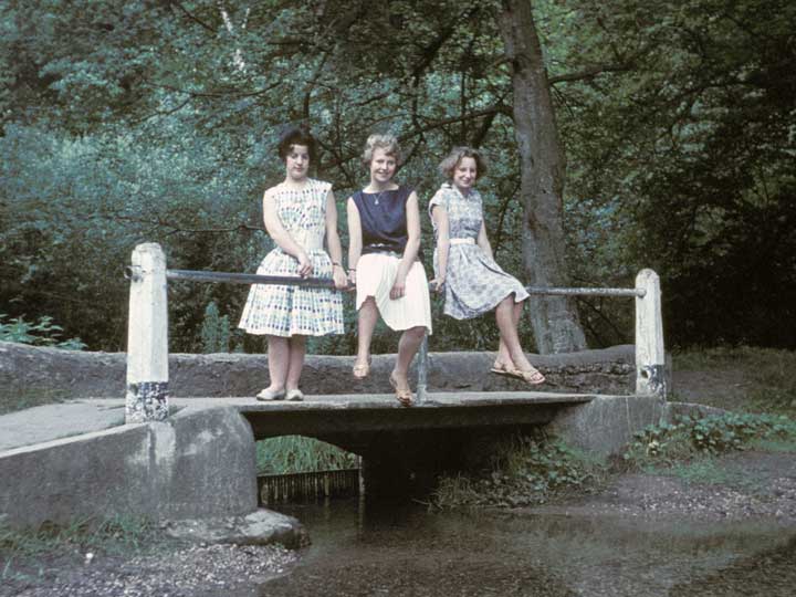 Rosemary, Marion and Honora