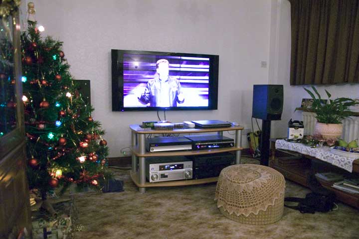 TV and Christmas tree